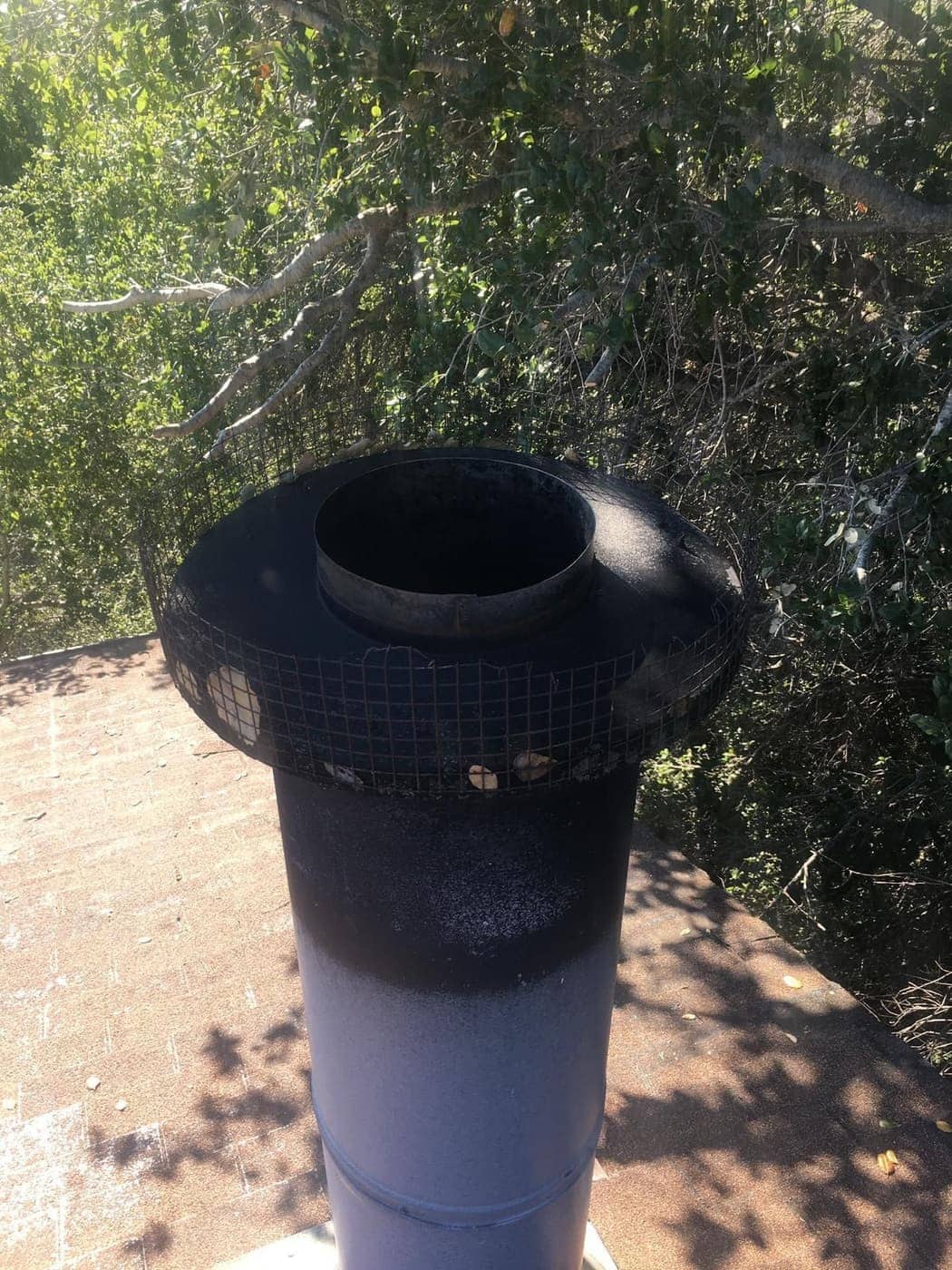 A black metal chimney pipe with a mesh-screened cap on top.